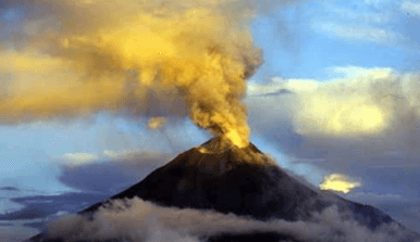 SAFARIS ET VIE SAUVAGE