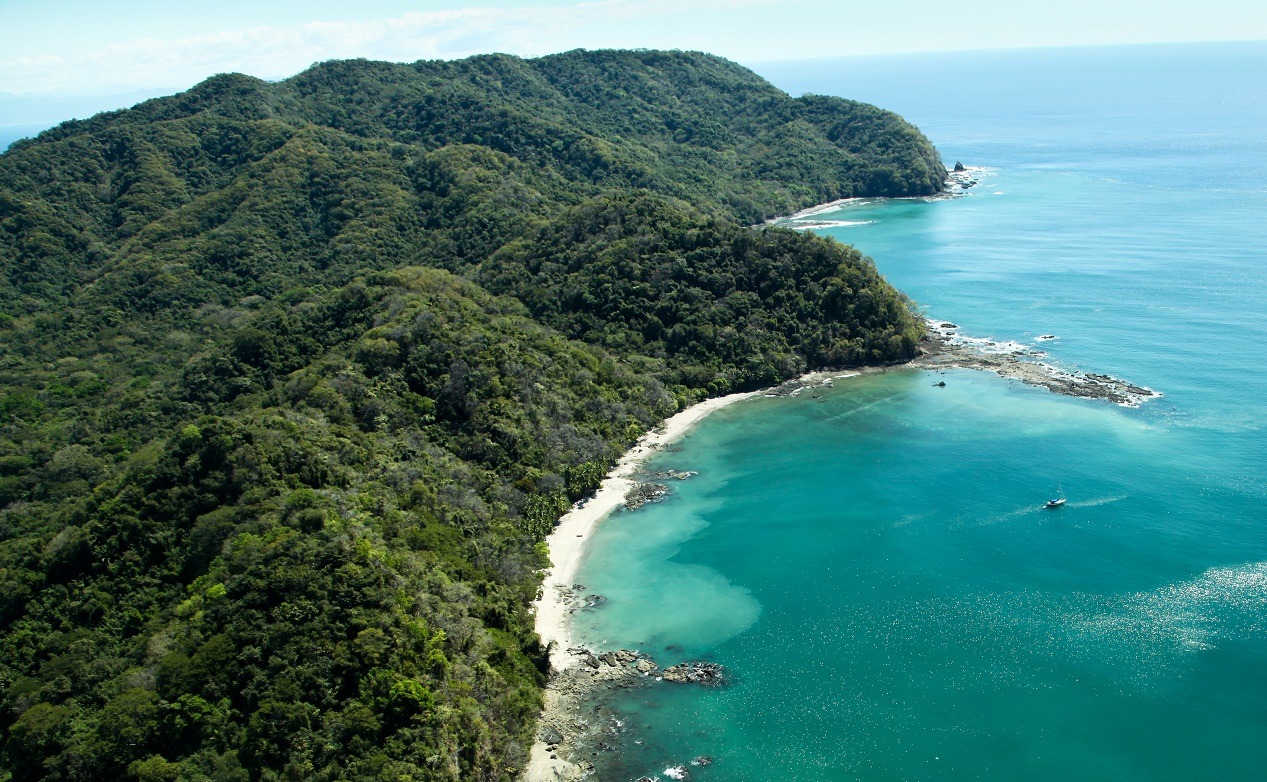 Nuances de vert au Costa Rica