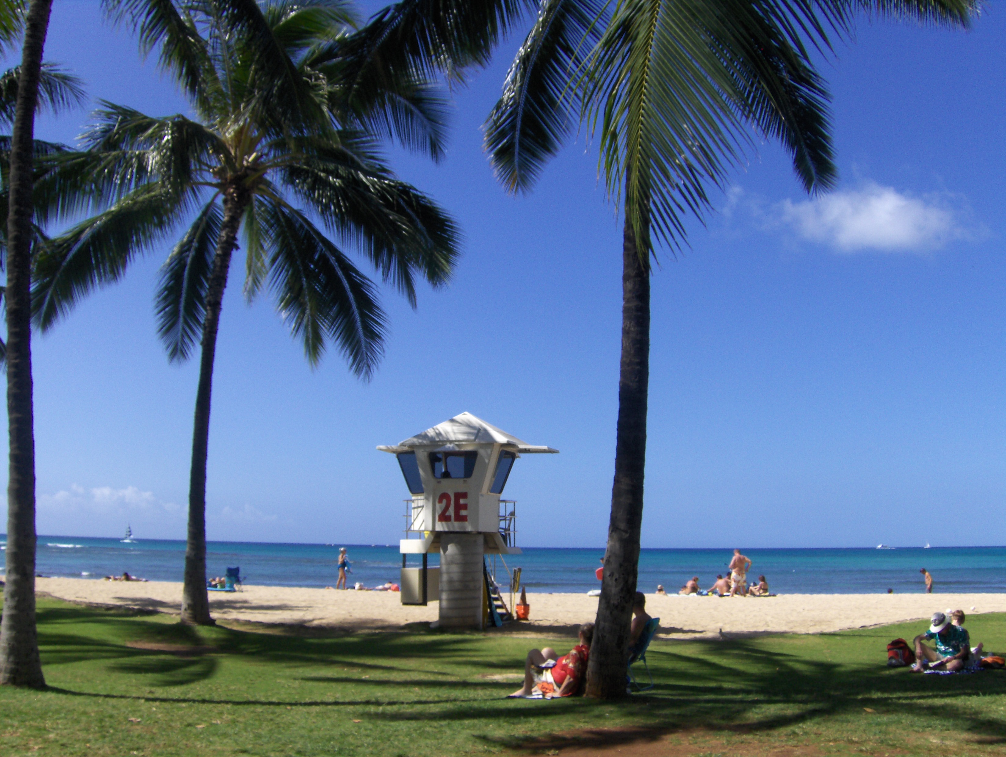 Maui, Hawaï, Oahu : le trio de choc