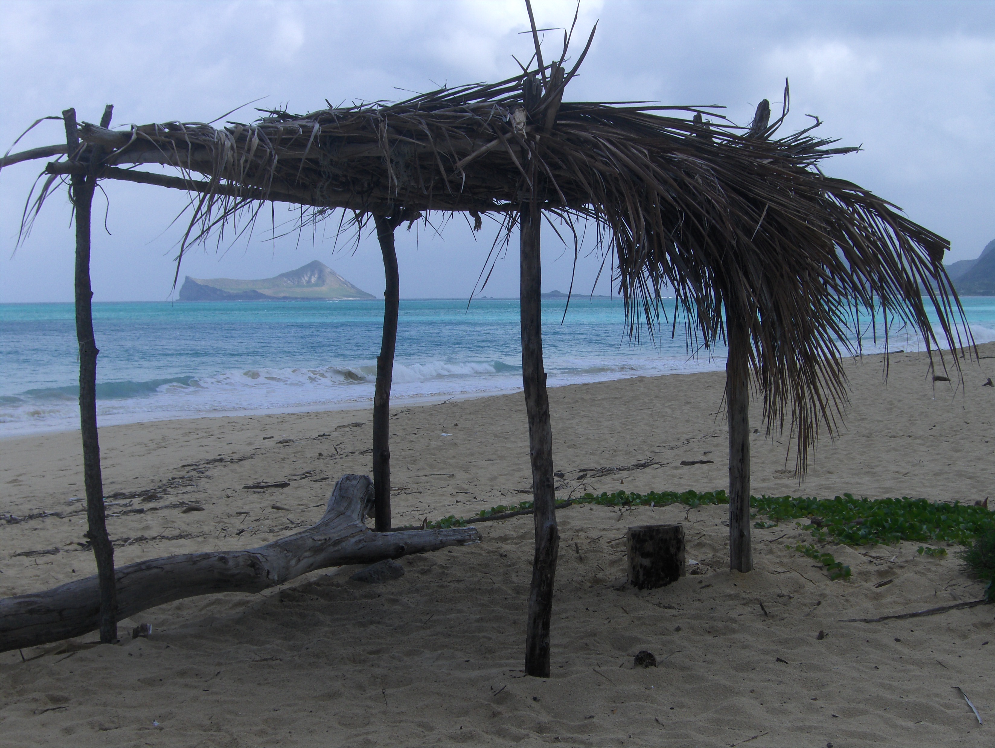 Maui, Hawaï, Oahu : le trio de choc
