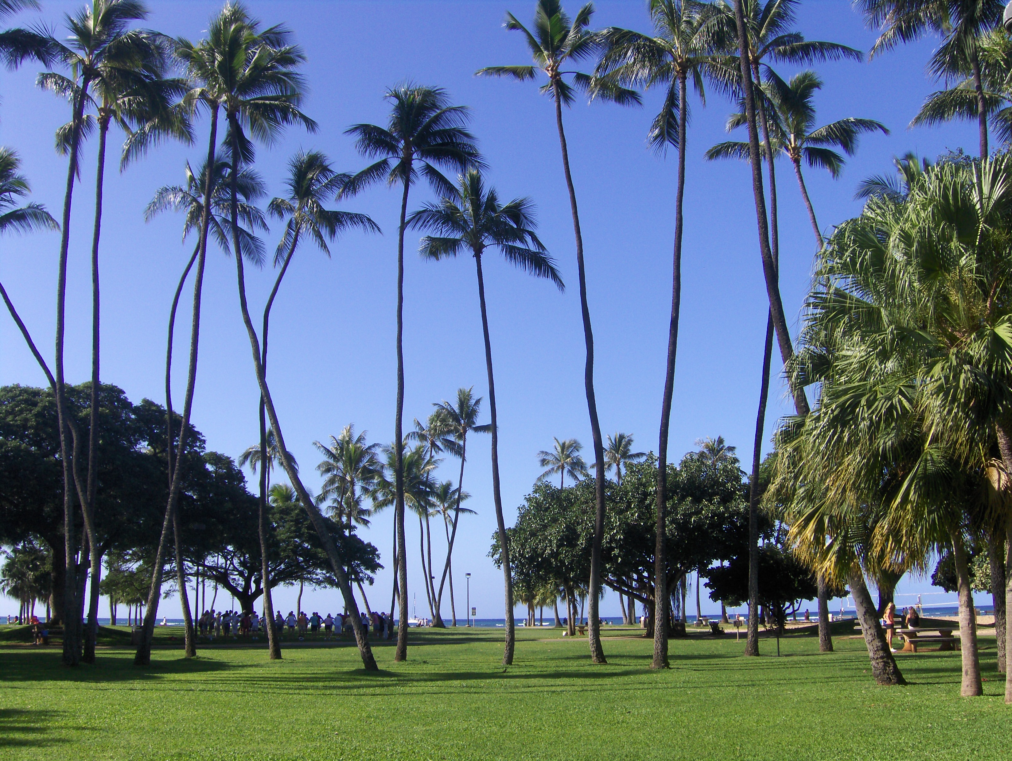 Maui, Hawaï, Oahu : le trio de choc
