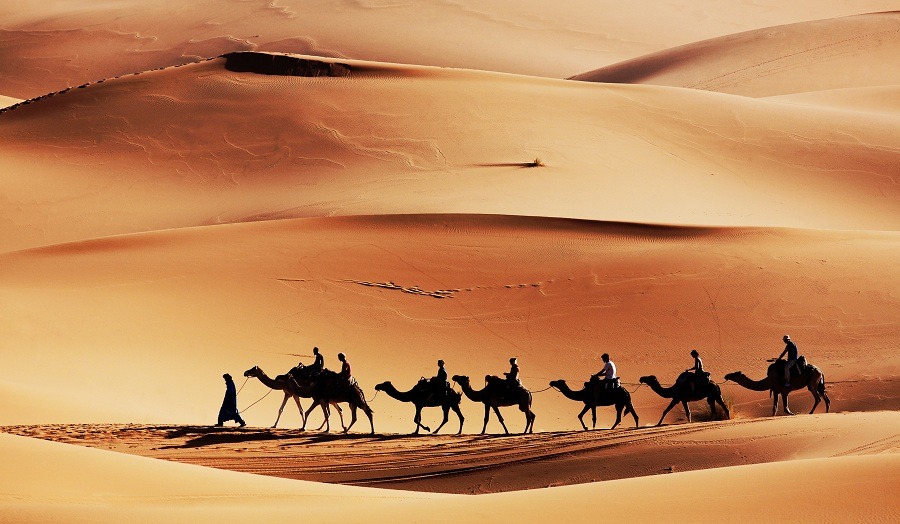 Une oasis dans le désert marocain