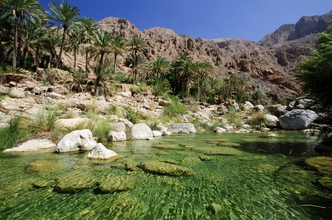 Aventures et découvertes dans le désert d'Oman