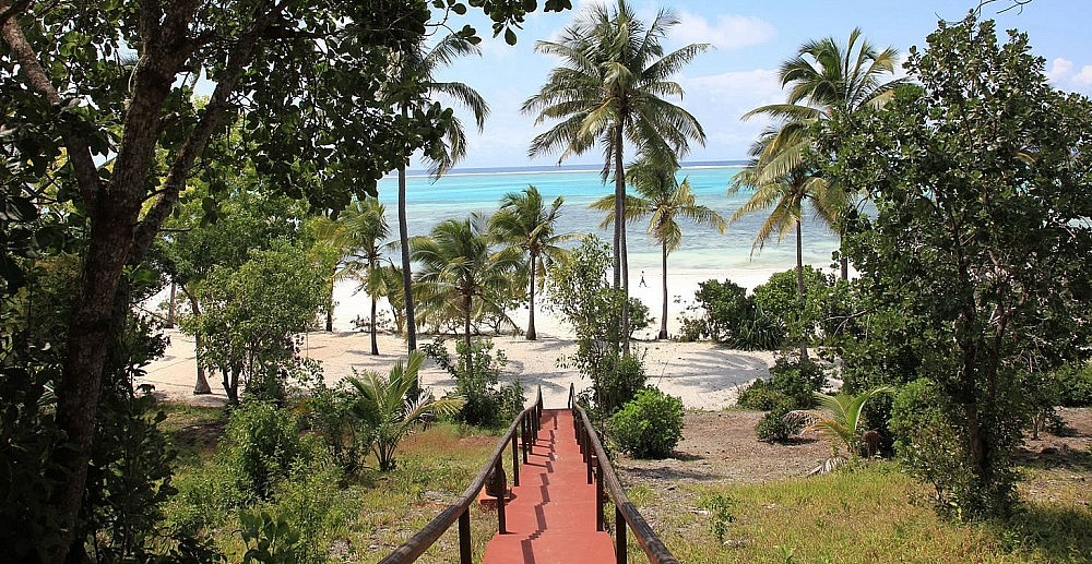 Des neiges du Kilimandjaro jusqu'aux plages de Zanzibar