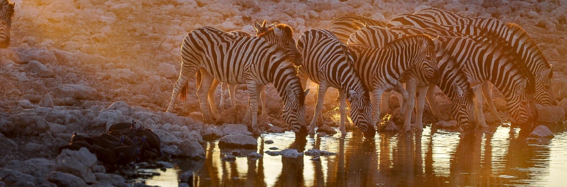 La Namibie hors des sentiers battus