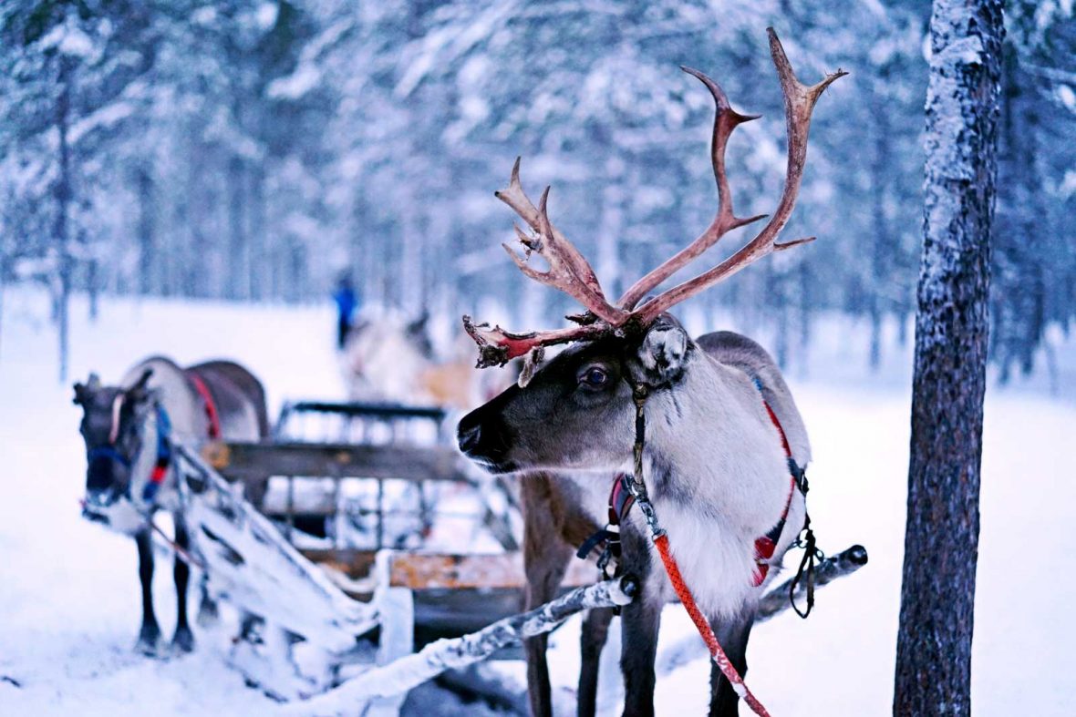 Voyage au pays du Père Noël