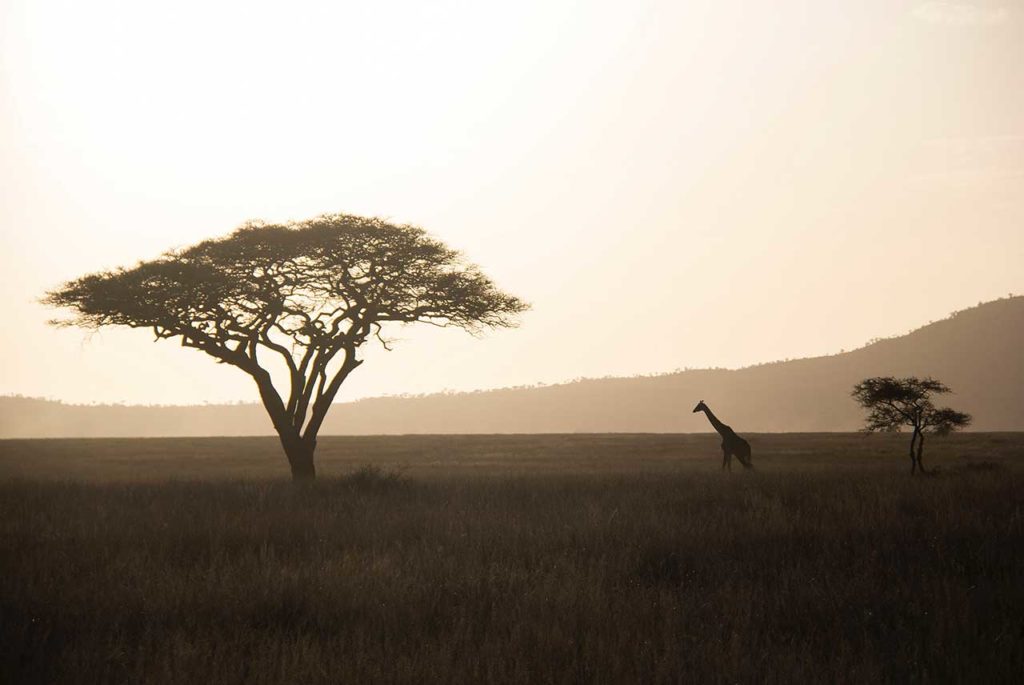 Récit de voyage : la Tanzanie aux côtés d'Asma