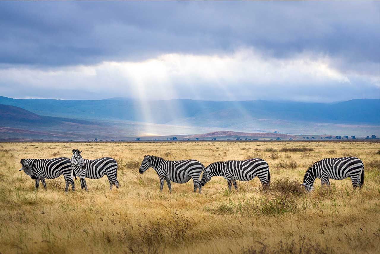 Récit de voyage : la Tanzanie aux côtés d'Asma