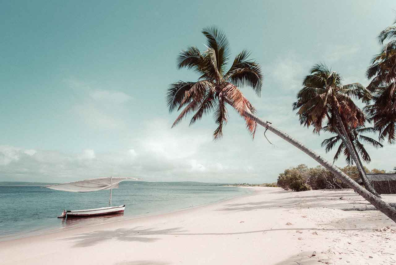 Safari au Parc Kruger et découverte du Mozambique