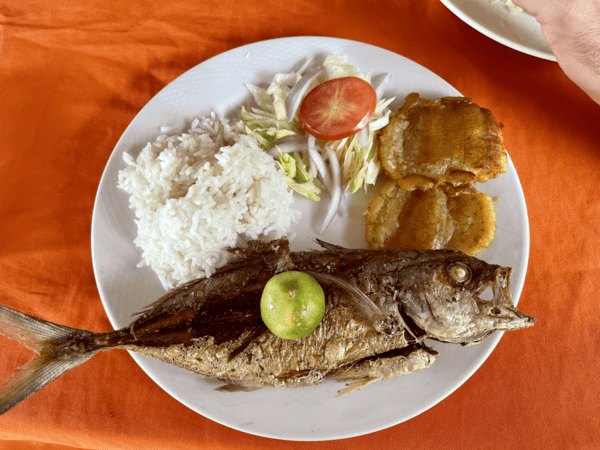 Faites connaissance avec Julien, notre explorateur